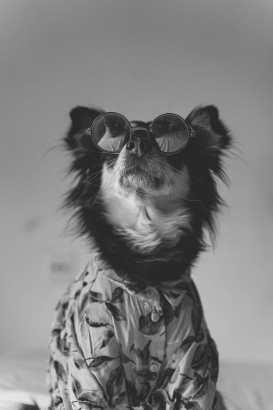 Attendee at an event